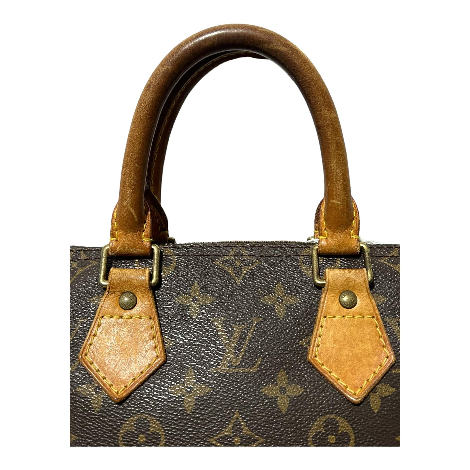 Louis Vuitton Speedy 25 Handbag - Recurring.Life